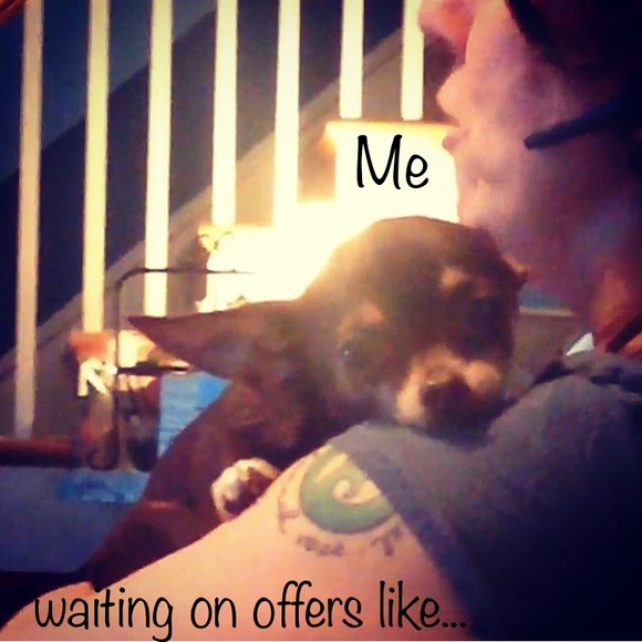 Offers? I’m all ears!! 🐶❤️☀️ - Picture 2 of 4